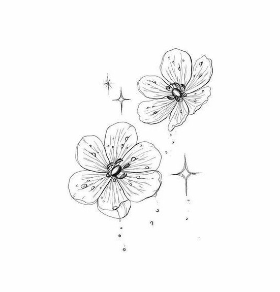 Alice ELF tweet media