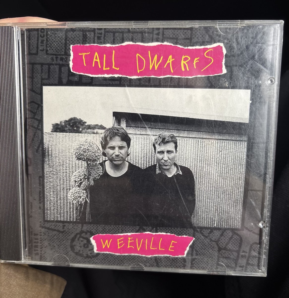 Ryley walker tweet media