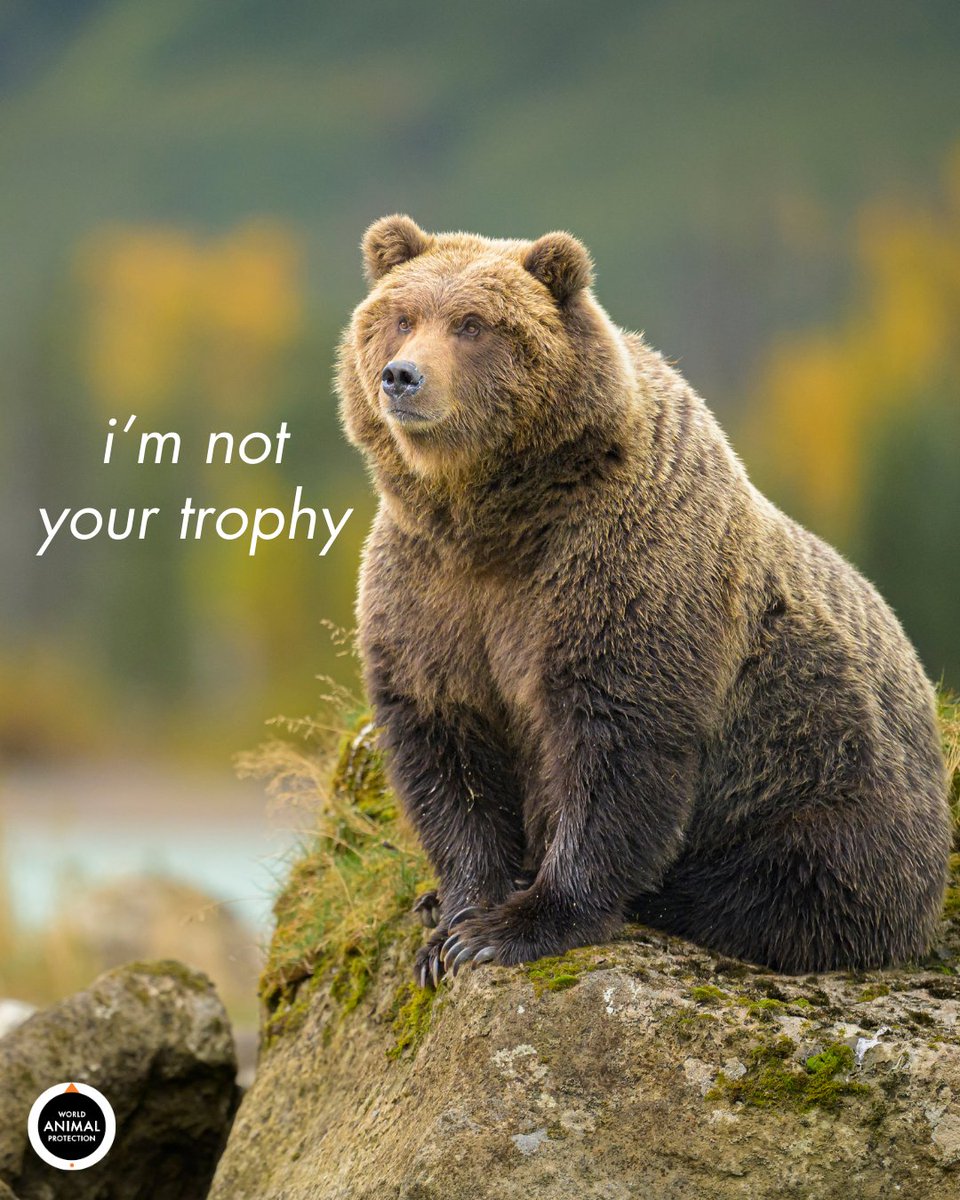 🗣️ TROPHY HUNTERS ARE COWARDS WHO KILL ANIMALS FOR FUN.