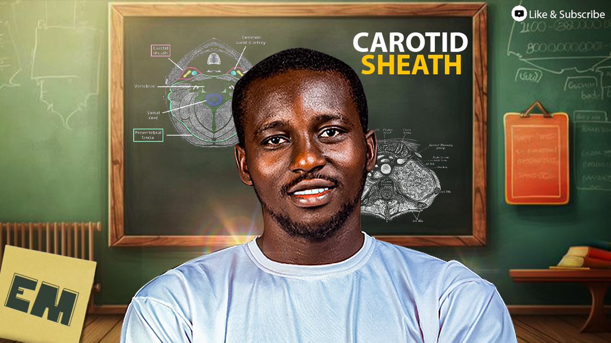 Dropping on 1st January,2026. 

Join us on YouTube. 

#preclinical 
#medicalstudents 
#BScstudent
#Mbbsstudent
#Everythingmedical