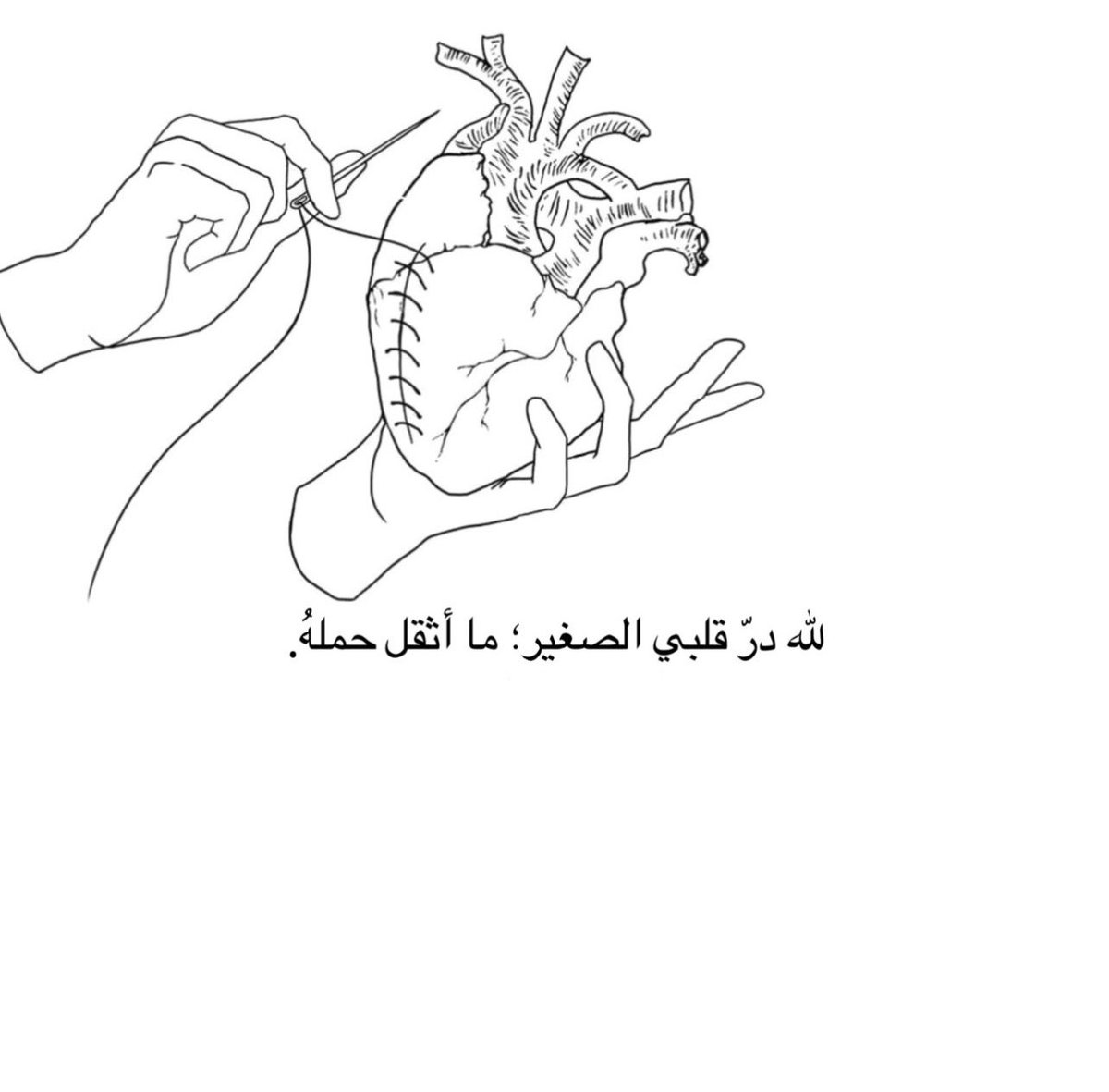 لله درهُ من قلب :