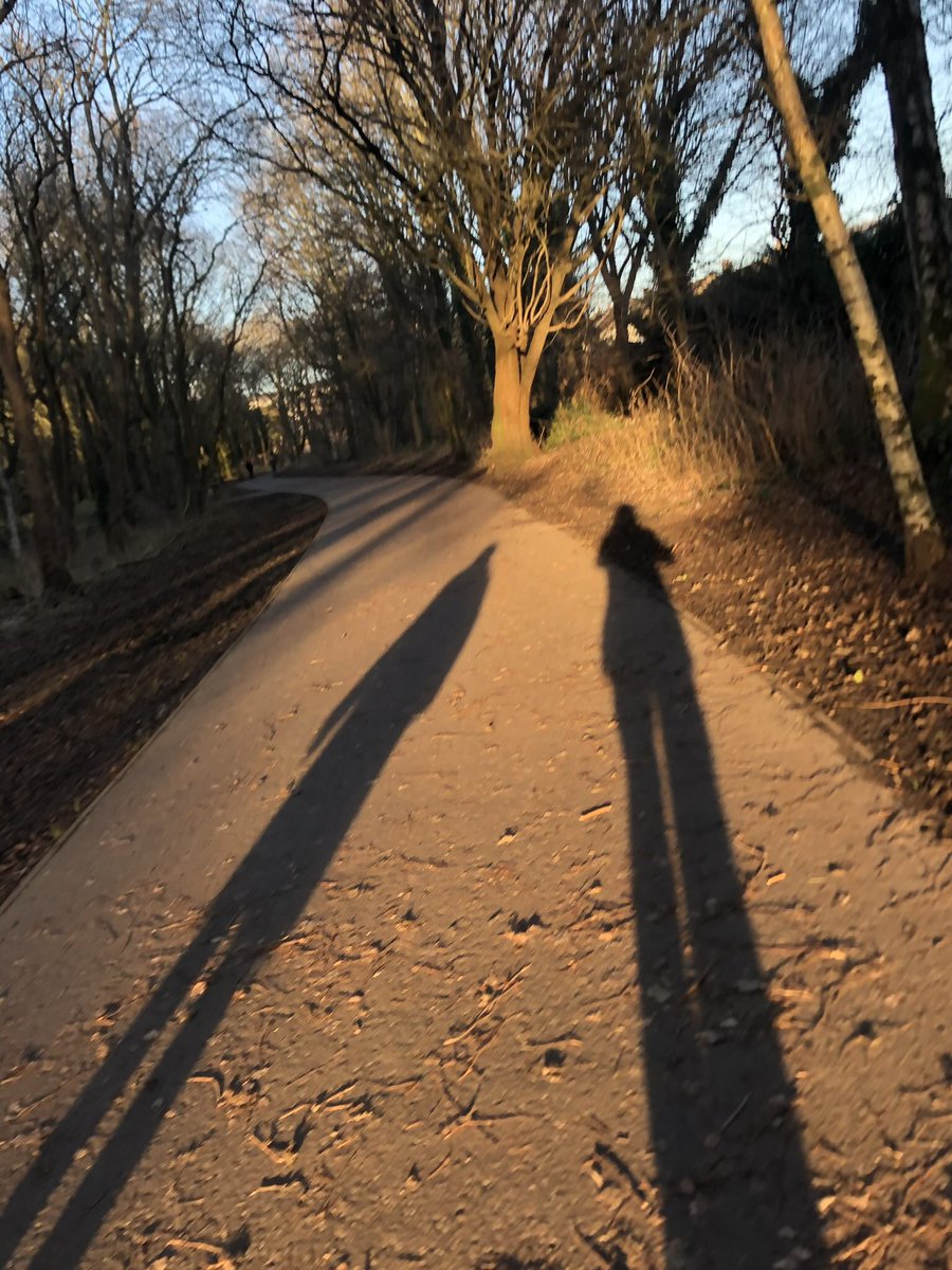 David Rees tweet media