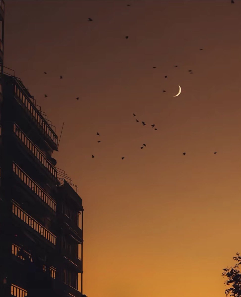 يالبعيد اللي وسط قلبي مقره 

كيف تتركني وتجزم في بعادي