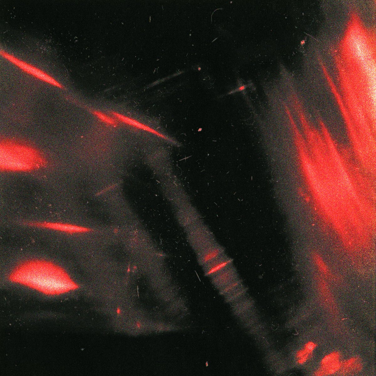 "LOVE YOU LESS" out midnight local January 2nd: joji.lnk.to/LOVEYOULESS