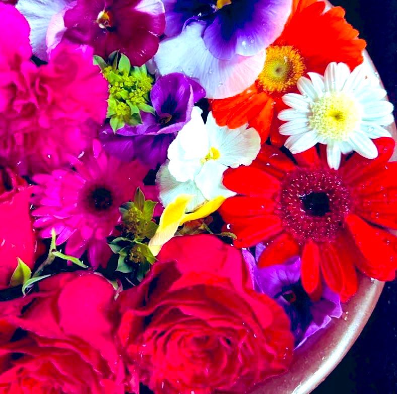 おはようございます🌱🍃❁⃘*. 𓂃✩.*˚

12月31日水曜日🌤️

冬型の気圧配置
強い寒気が入り
北日本の日本海側雪
関東以西の太平洋側は晴れ
気温が上がらず
寒さが戻る🐈‍⬛🐾
　　
1年間ありがとうございました💖
来年も宜しくお願いします🌸

良いお年をお迎え下さいませ🎍

素敵な大晦日を☘️❁⃘*. 𓂃✩