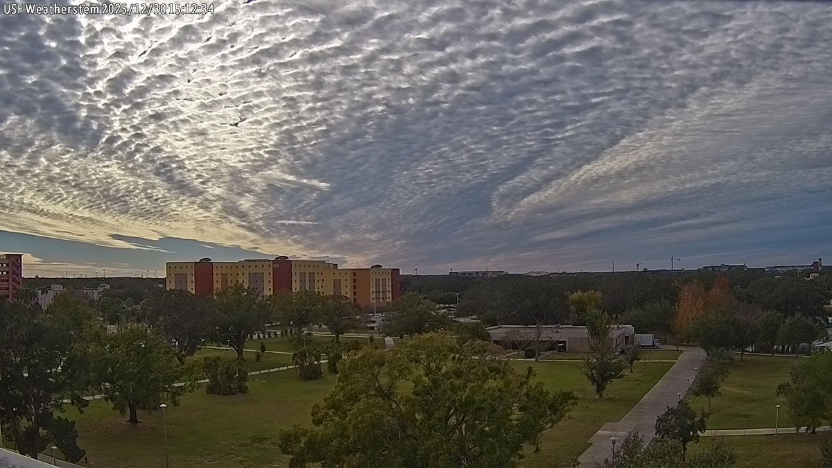 Weatherstem's tweet image. Heads up #CentralFlorida! there's probably going to be some great #sunsets across the area tonight with the altocumulus cloud deck in place! Sneak peak from @USouthFlorida