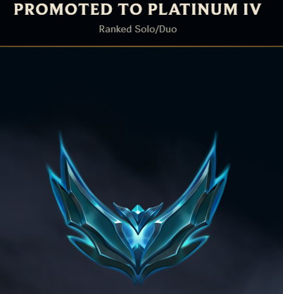 lillie™ tweet media