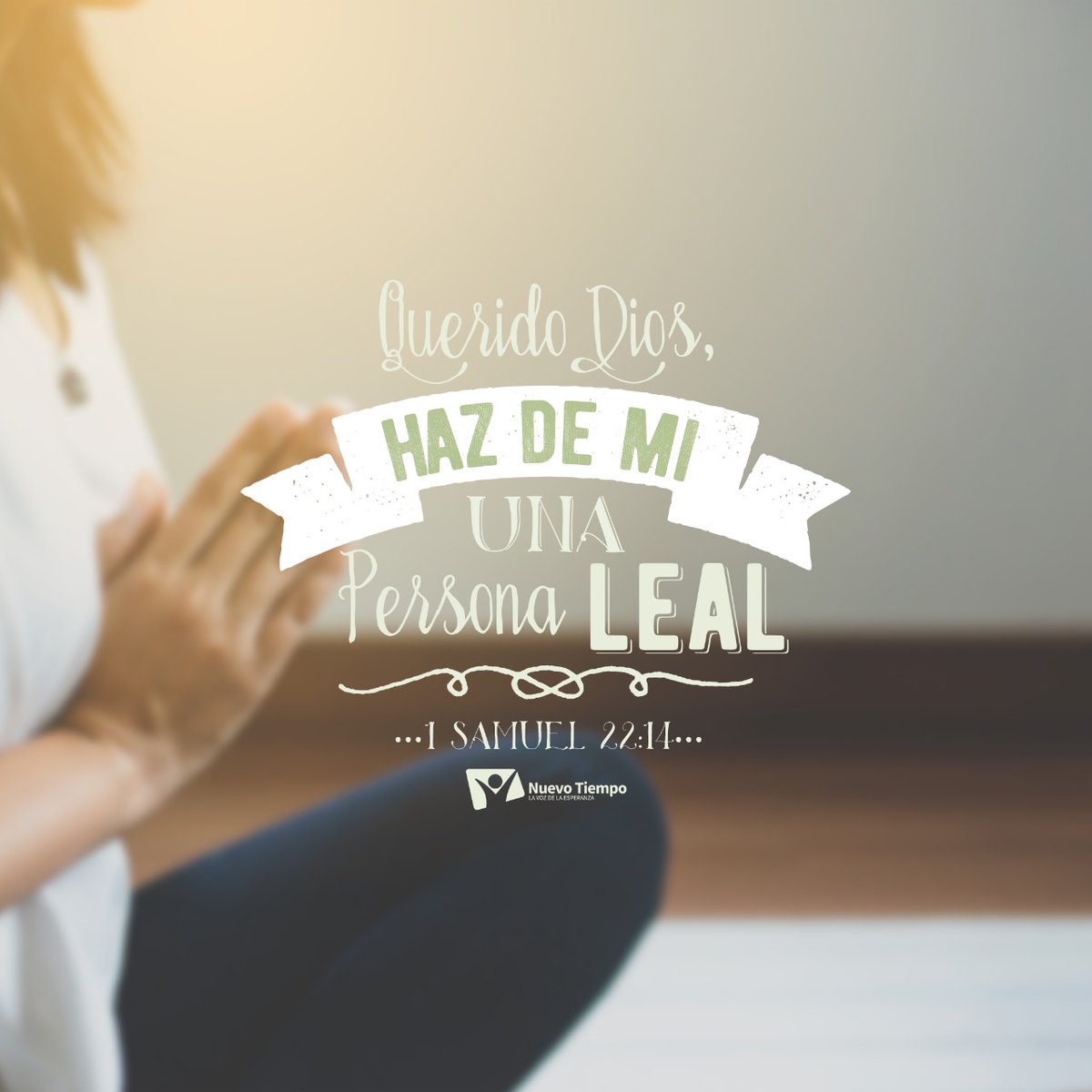 ntchile's tweet photo. ✨Que cada día busques ser una persona de confianza y dedicación en todo lo que haces. 🙌
#RPSP #PrimeroDios #1Samuel22
🎧 Escucha este RPSP https://t.co/i7eeMcAOn6 https://t.co/mf1o6rLoer