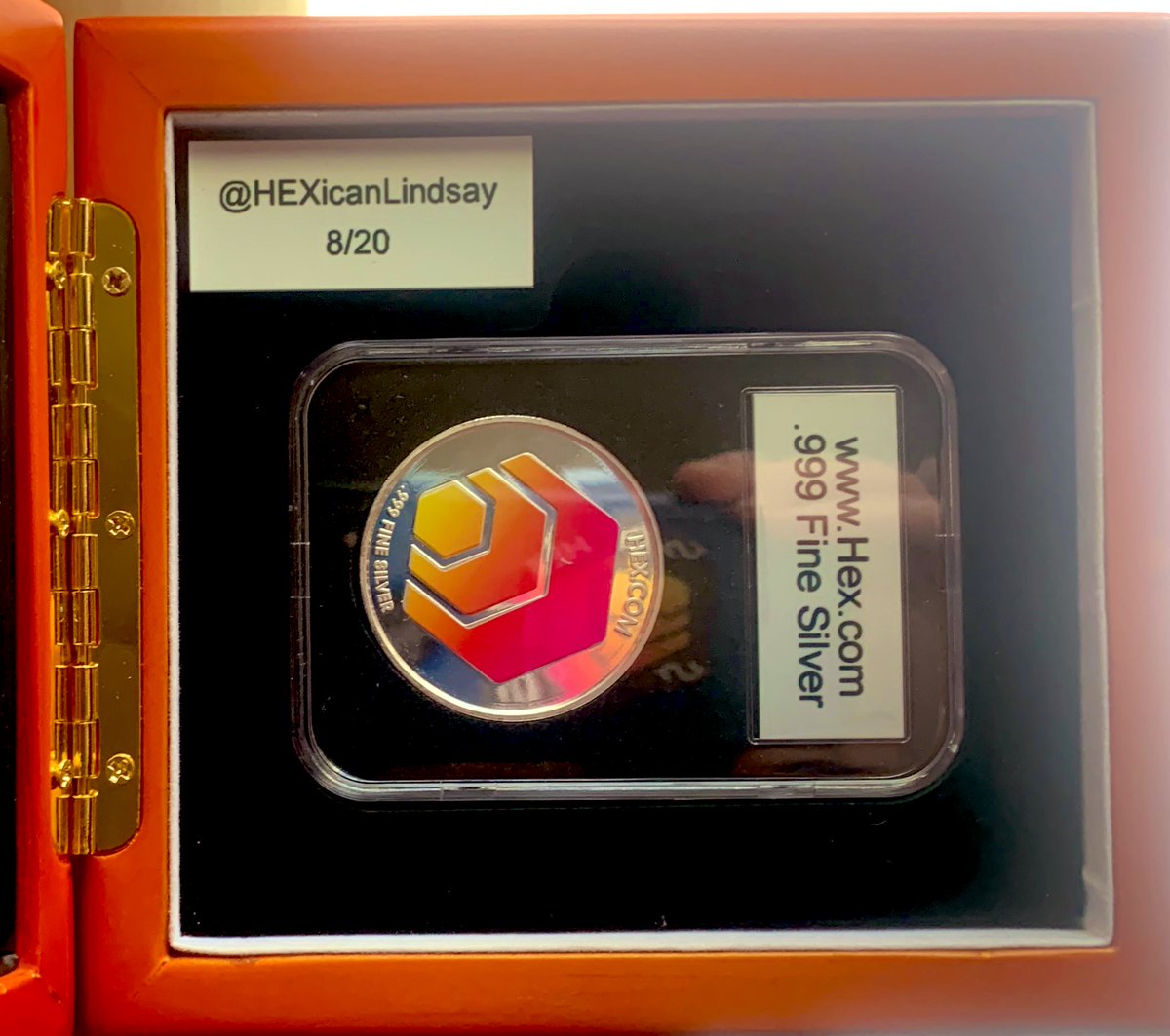 SheSeesThrough tweet media