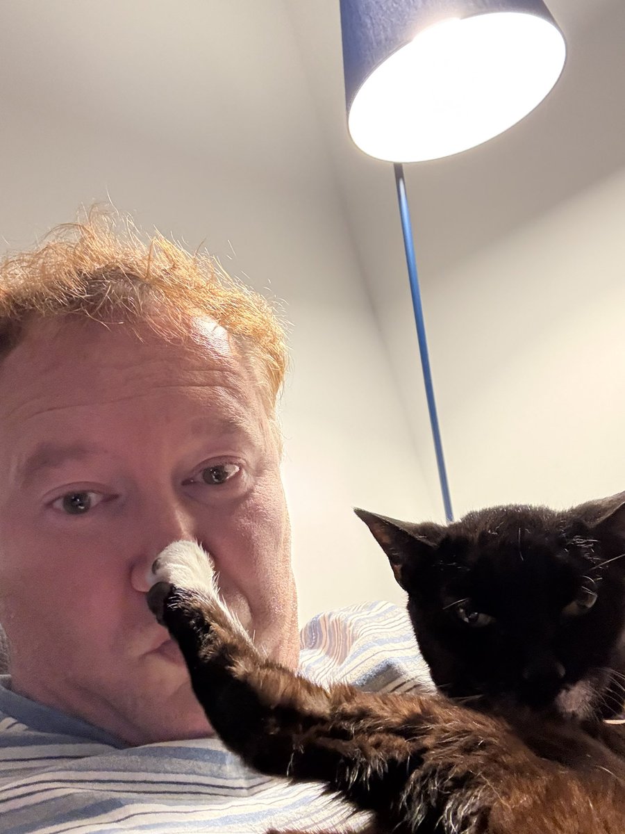 Talk to the paw cos the face don’t wanna know