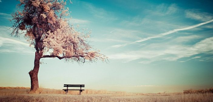 Dışarıdan bakıldığında lüks gibi görünmeyen ama aslında lüks olan şeyler:  

1. Annenizin hayatta olması 
2. Sıcak duş almak 
3. Sağlıklı bir hayat
4. Zihinsel, duygusal ve ruhsal huzur 
5. Ilıman günler. Ne çok soğuk, ne de çok sıcak. 
6. İyi yemek 
7. Sabahları kahve keyfi