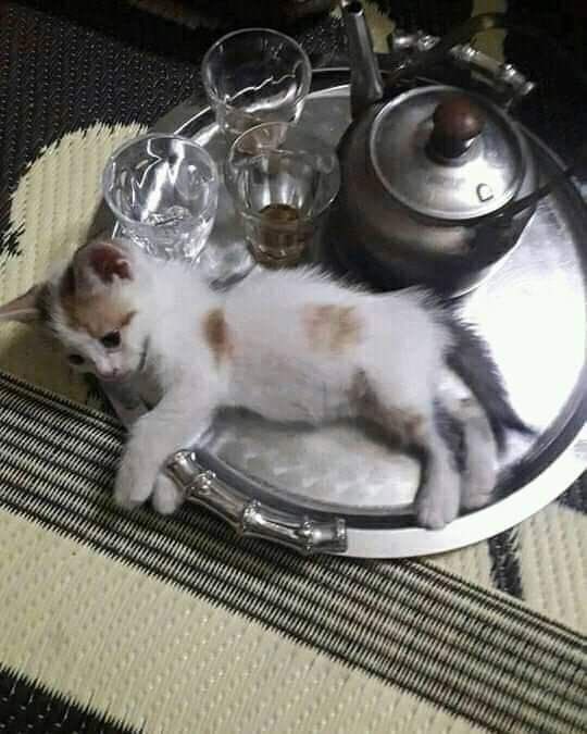 Moh? (@holymoha) on Twitter photo 