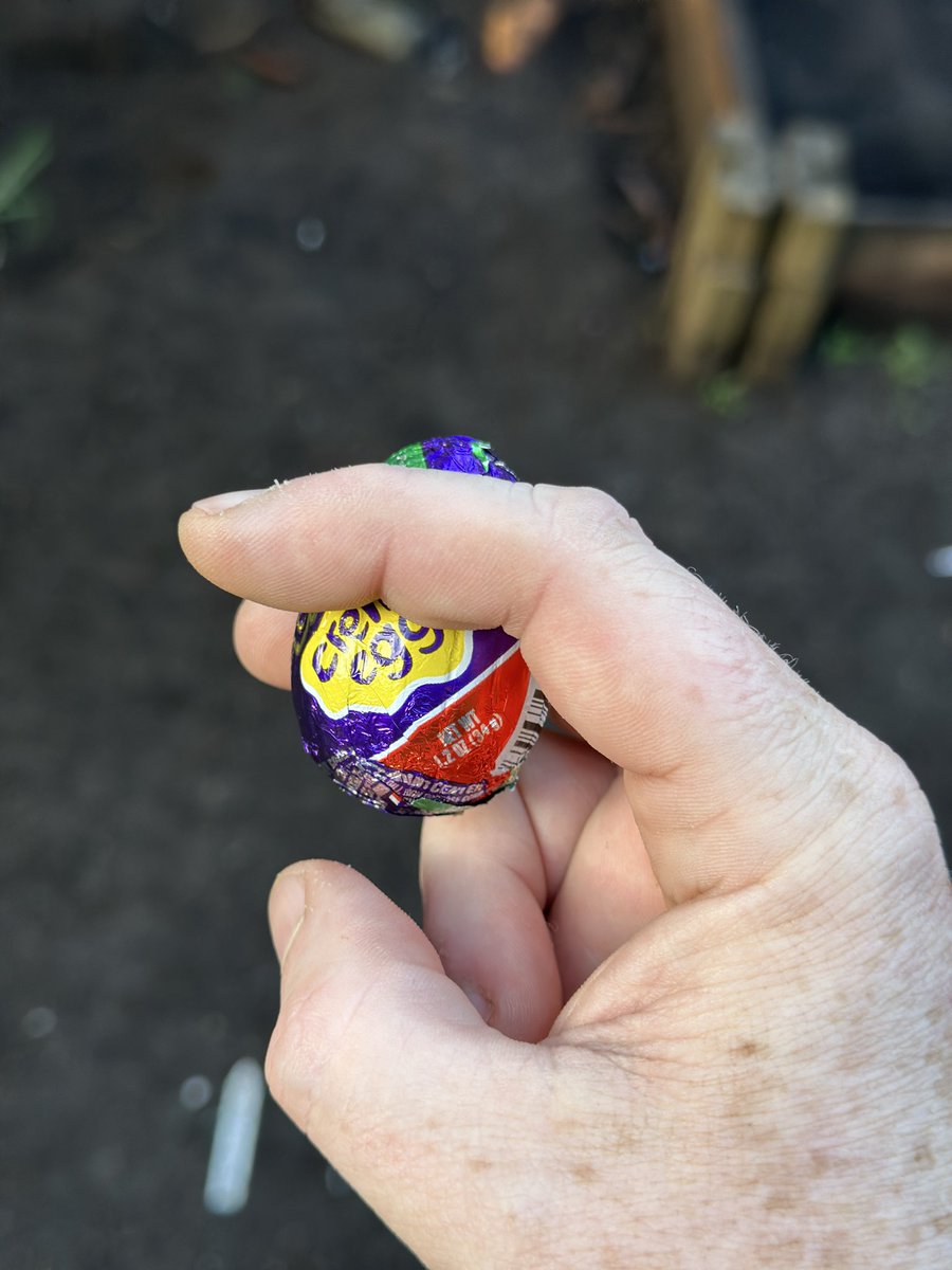 𝕭𝖑𝖔𝖔𝖉 𝕮𝖔𝖉𝖊 | ブラッドコード tweet media