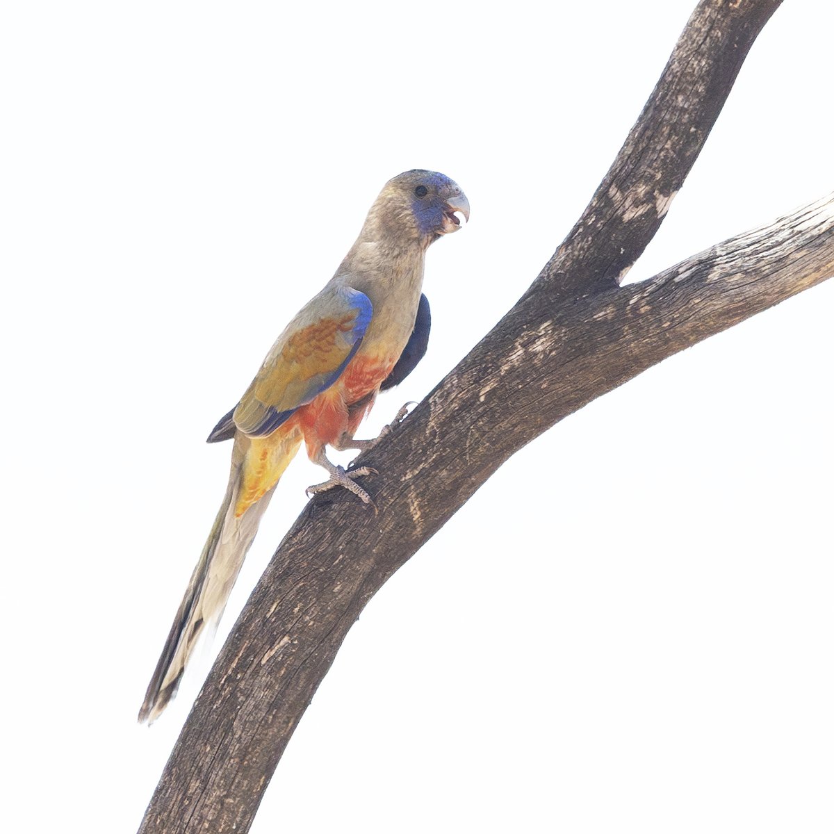 Sandy Horne tweet media