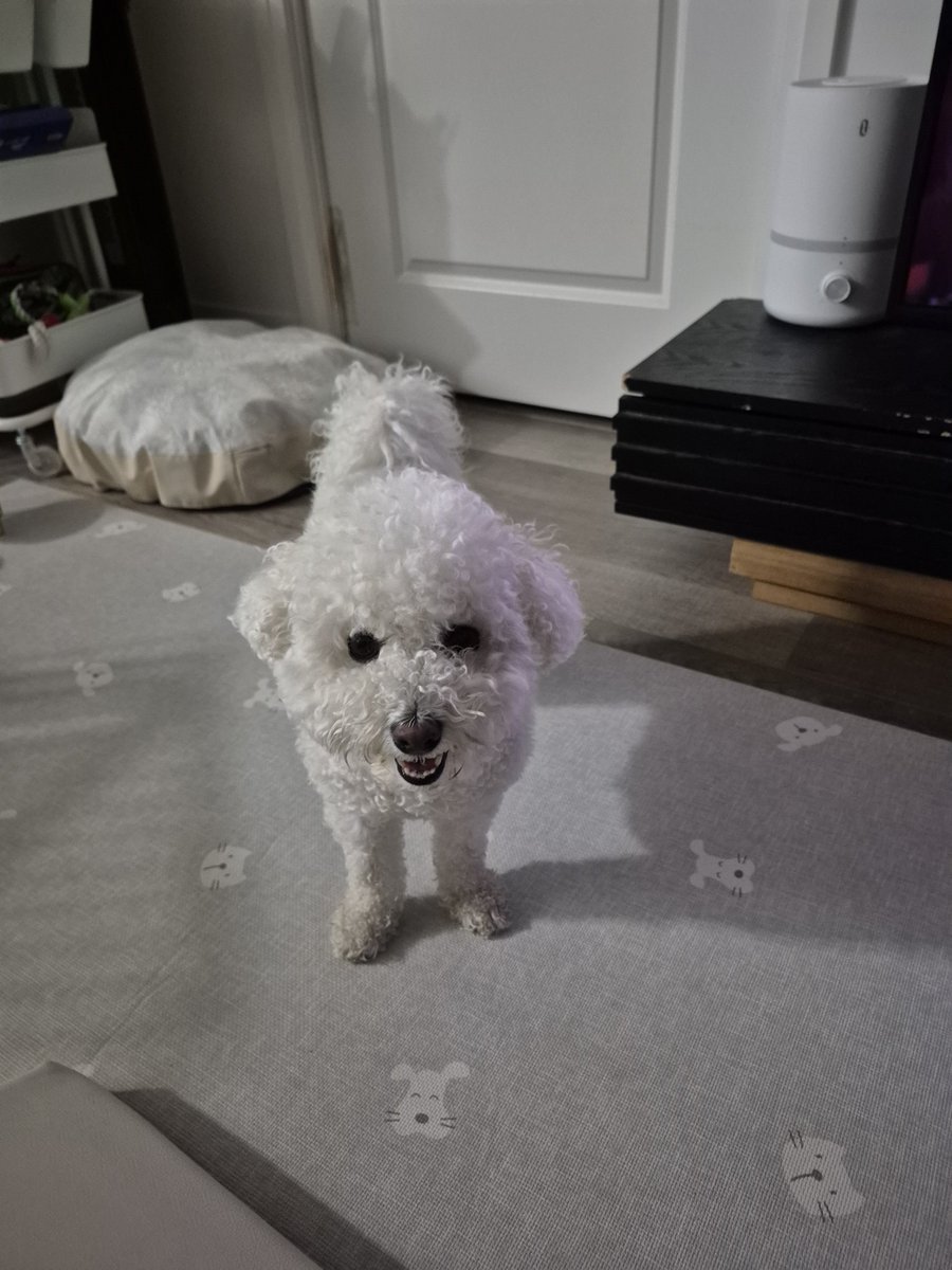 RACH 👻💥🍉 tweet media