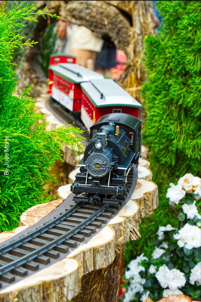 MorteJude's tweet photo. @jjmmli J, does a #miniaturetrain 🚂🚃🛤️ count for the thread theme?
This 12/23/25 #photo is from Gardens By The Bay, #Singapore 🇸🇬

#TrainPhoto #fujifilmxm5 #toys #Yuletide #Christmas2025 https://t.co/h2fr3OAAt1