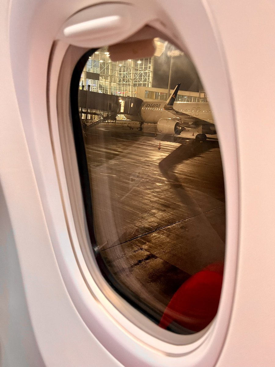 картошчка tweet media