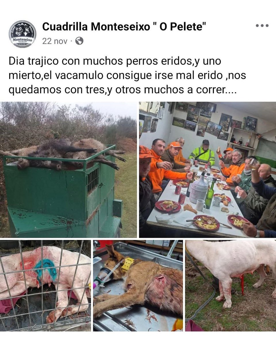 ruben_prz's tweet photo. El @ppdegalicia considera que estos analfabetos funcionales son los "gestores" de la Naturaleza.

Sorprendente que con esa ortografía se le permita obtener una licencia de caza y superar un psicotécnico. https://t.co/mhGSbFQO2E