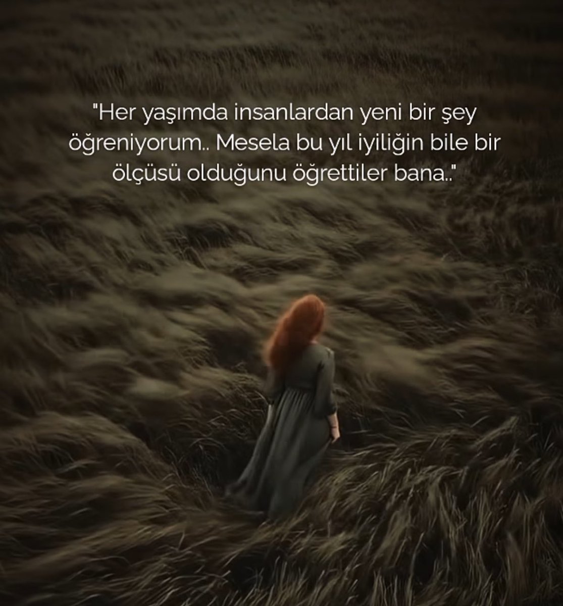 Kitap Kurdu 🐛 (@sivrikalem34) on Twitter photo 