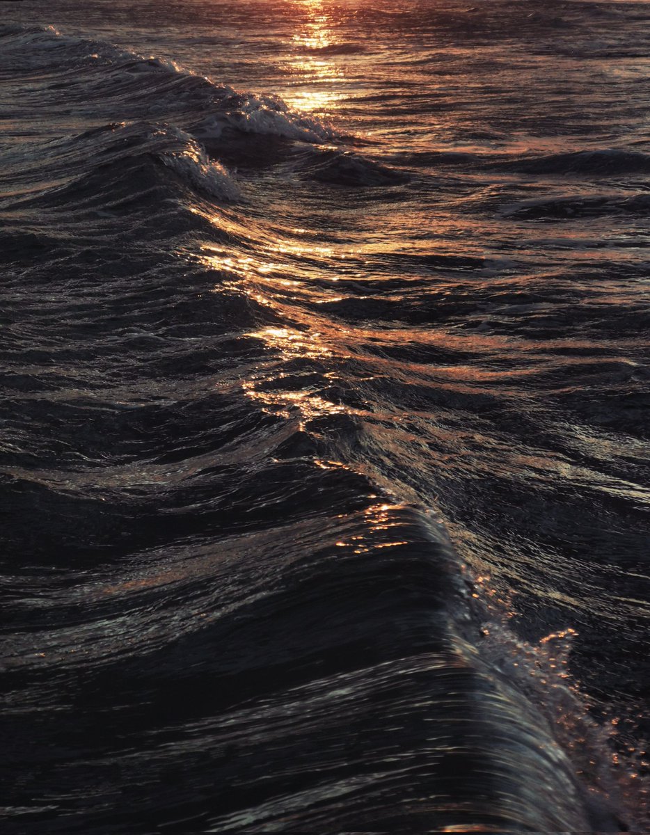 نبيه (@mohamednabih72) on Twitter photo 