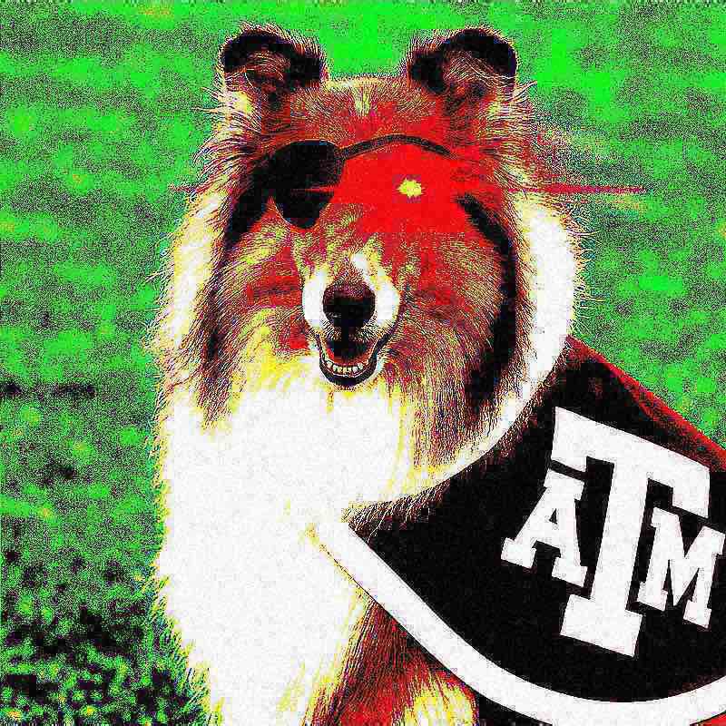 George Dubya tweet media