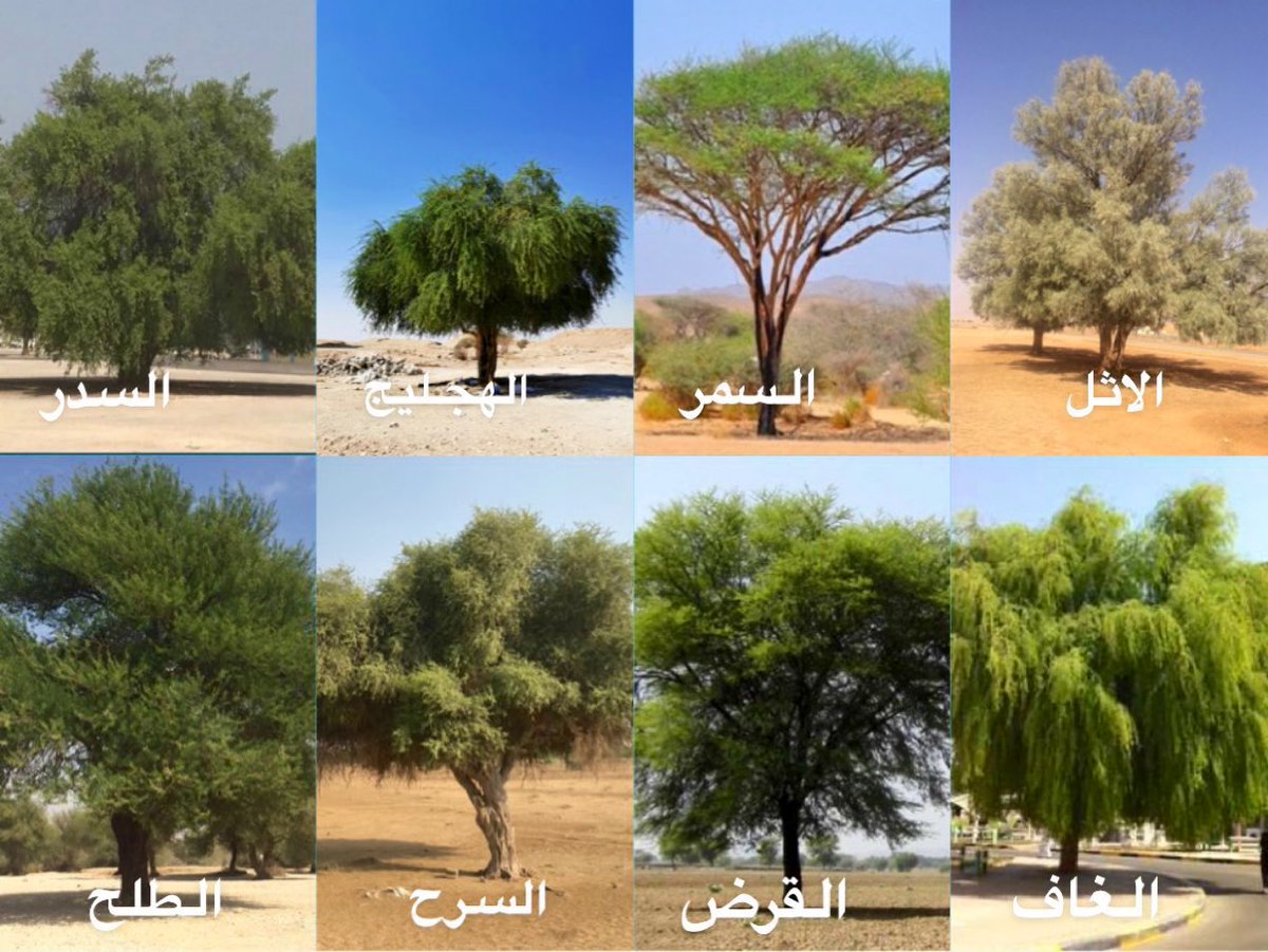 عبدالكريم الناجم tweet media