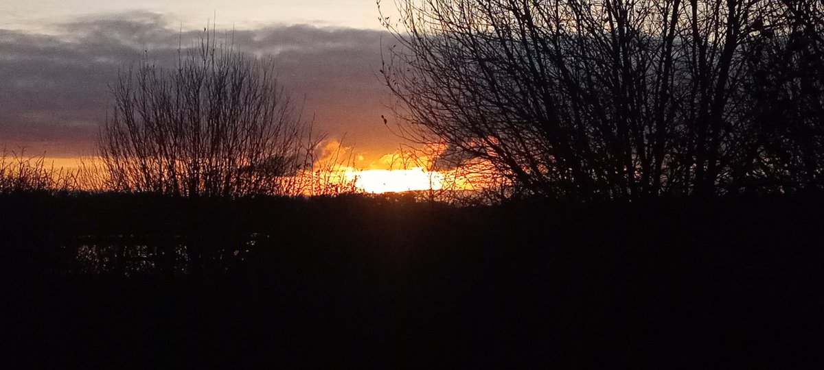 DuncanGray_'s tweet photo. 2/2 .. seeing my first marsh harriers. 
 Then stopping in Aylesbury on our way home for a "what can we find" meal. Turned out to be a very pleasant little Sri Lankan restaurant. 
 Yes, it's been a good day.🙂 https://t.co/uHdxPH7wnI