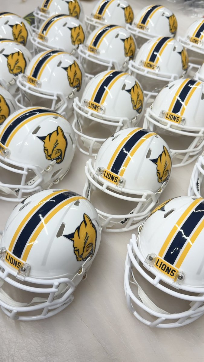 97_sports's tweet image. Big thanks to @MSJ_FB and @CoachHopperton for letting us do their full size decals and mini helmets this year! #helmetdecals #minihelmets