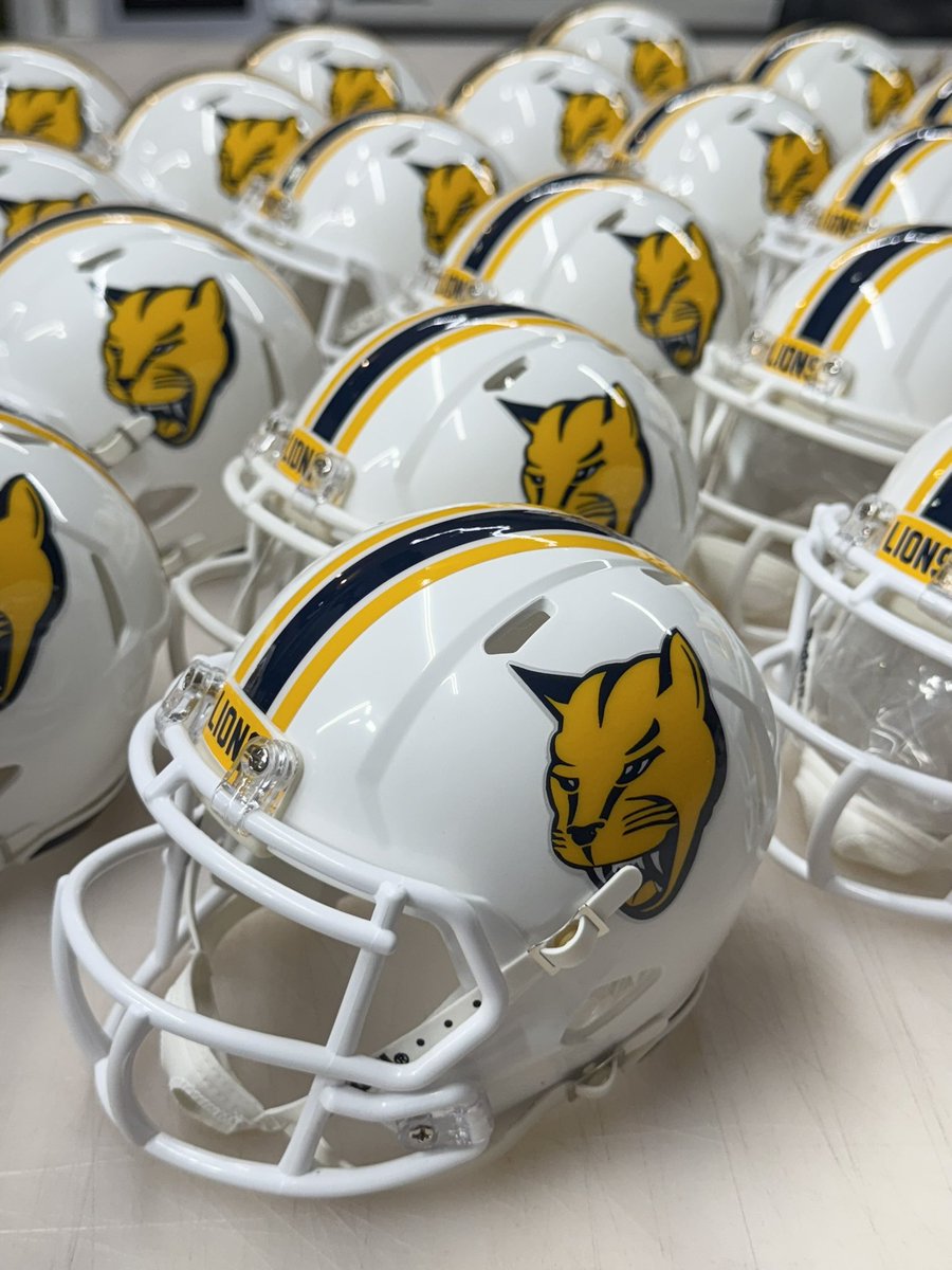 97_sports's tweet image. Big thanks to @MSJ_FB and @CoachHopperton for letting us do their full size decals and mini helmets this year! #helmetdecals #minihelmets