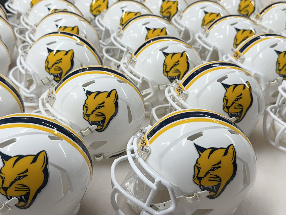 97_sports's tweet image. Big thanks to @MSJ_FB and @CoachHopperton for letting us do their full size decals and mini helmets this year! #helmetdecals #minihelmets