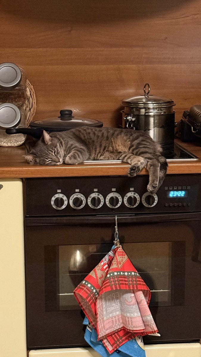 116 съезд партии. Председатель мудак