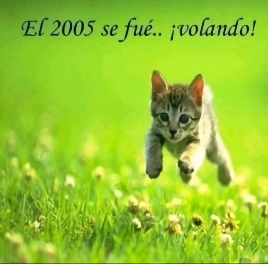 Si te sigo eres un tibio #TibiosDeCojones🍁 (@qwerty_15n) on Twitter photo 