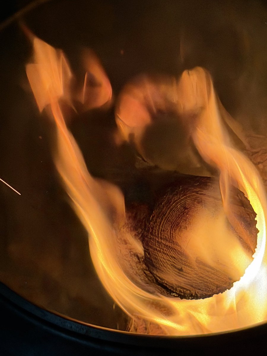 Ogün Yıldız tweet media