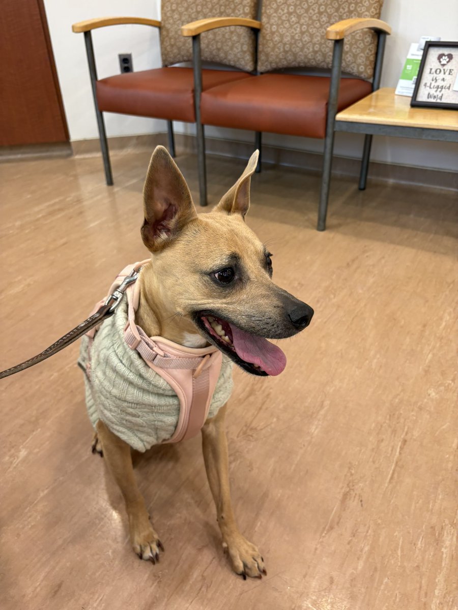 Matt Harmon tweet media