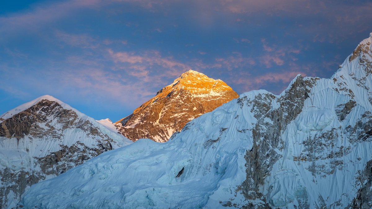 Chris Stanley tweet media