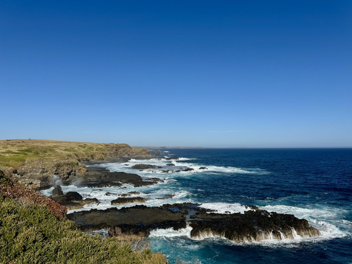 Not Out Travel tweet media