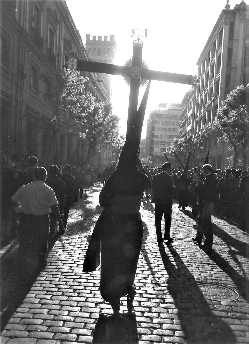 PERFUNDET OMNIA LUCE.

Todo brilla con la luz.