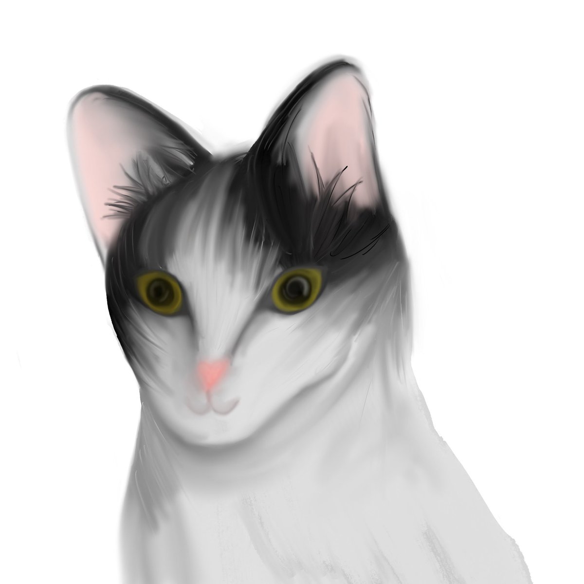 Meow