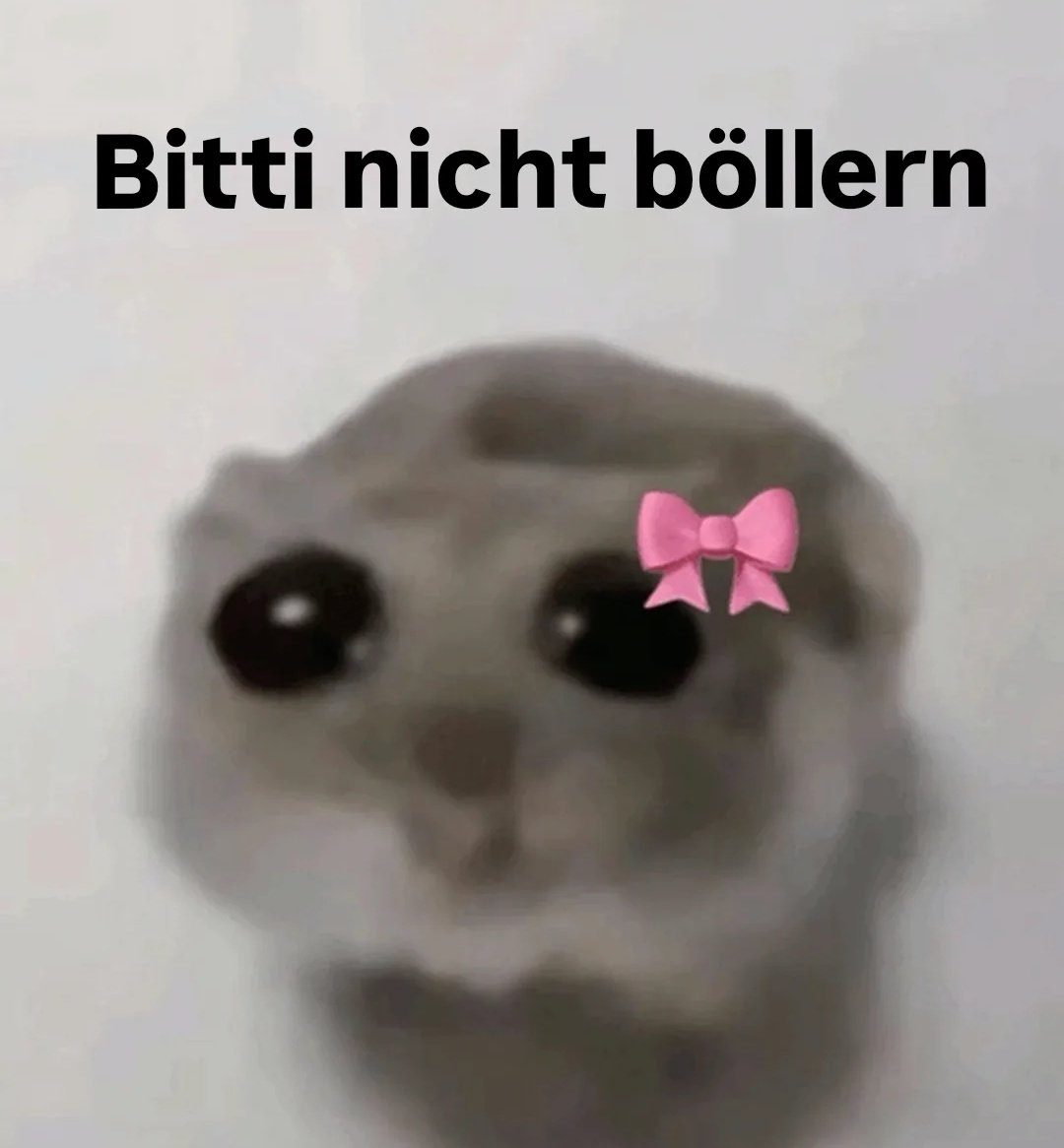 suesskatzi's tweet image. 