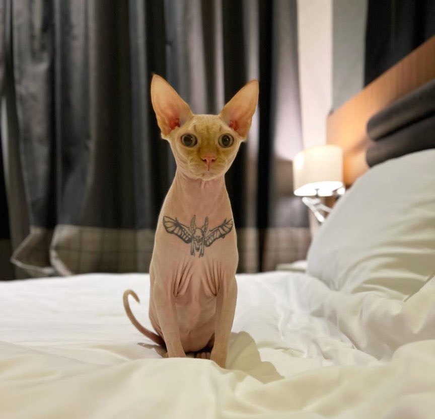 paperssil's tweet image. one of the weird things I saw this year