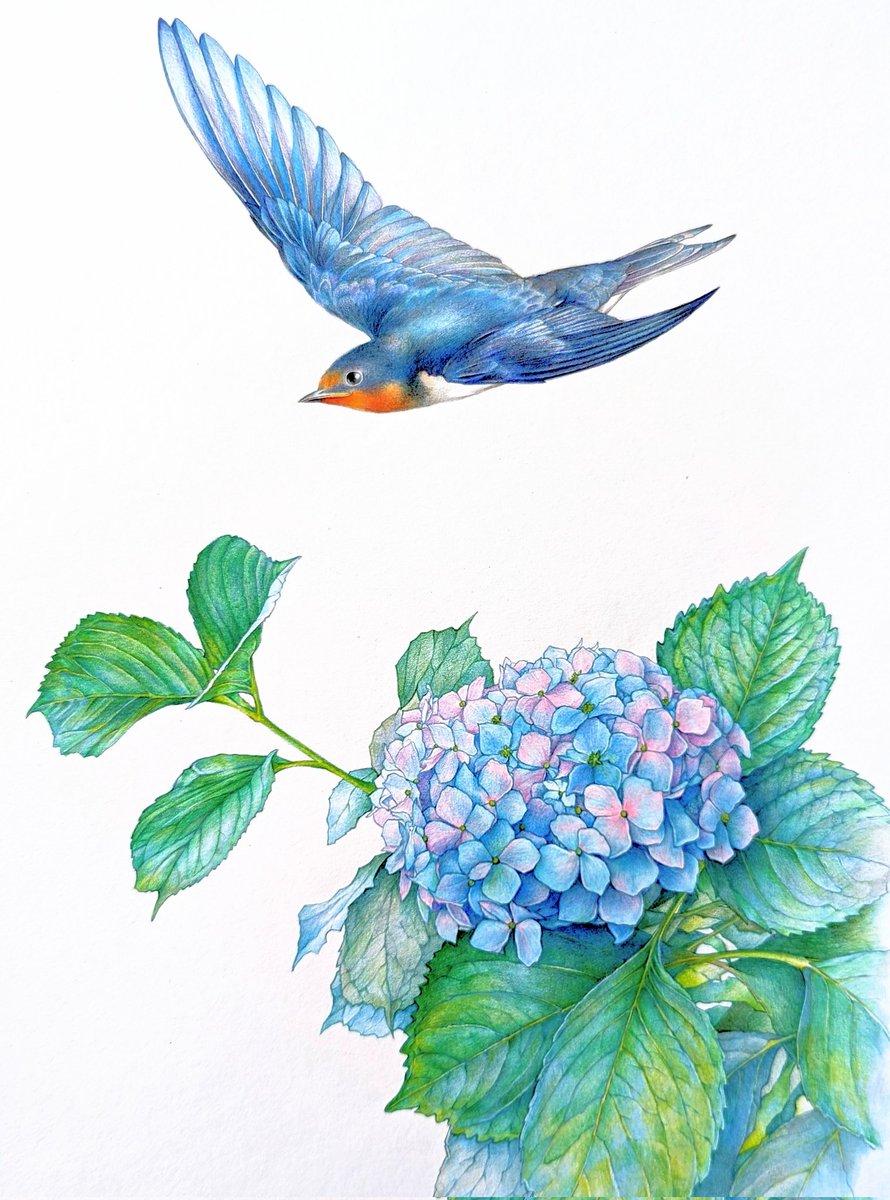 今年も絵を見てくださり 本当にありがとうございました。 心より感謝し