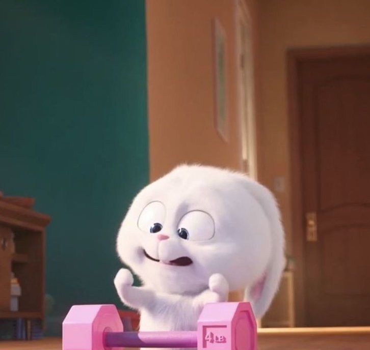 181Tan's tweet image. 81km 💒