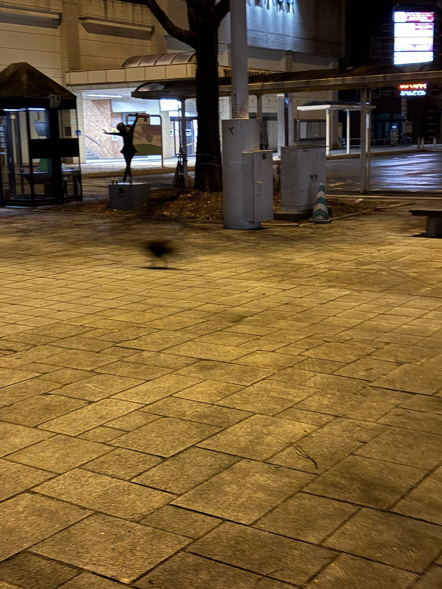 限りなく抽象化された猫いた！