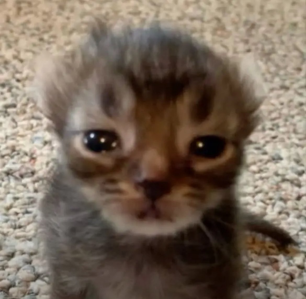 isamiranhacrf's tweet image. até quando eu tenho dinheiro eu me sinto sem dinheiro tudo é 100 reais nessa desgraça não aguento mais