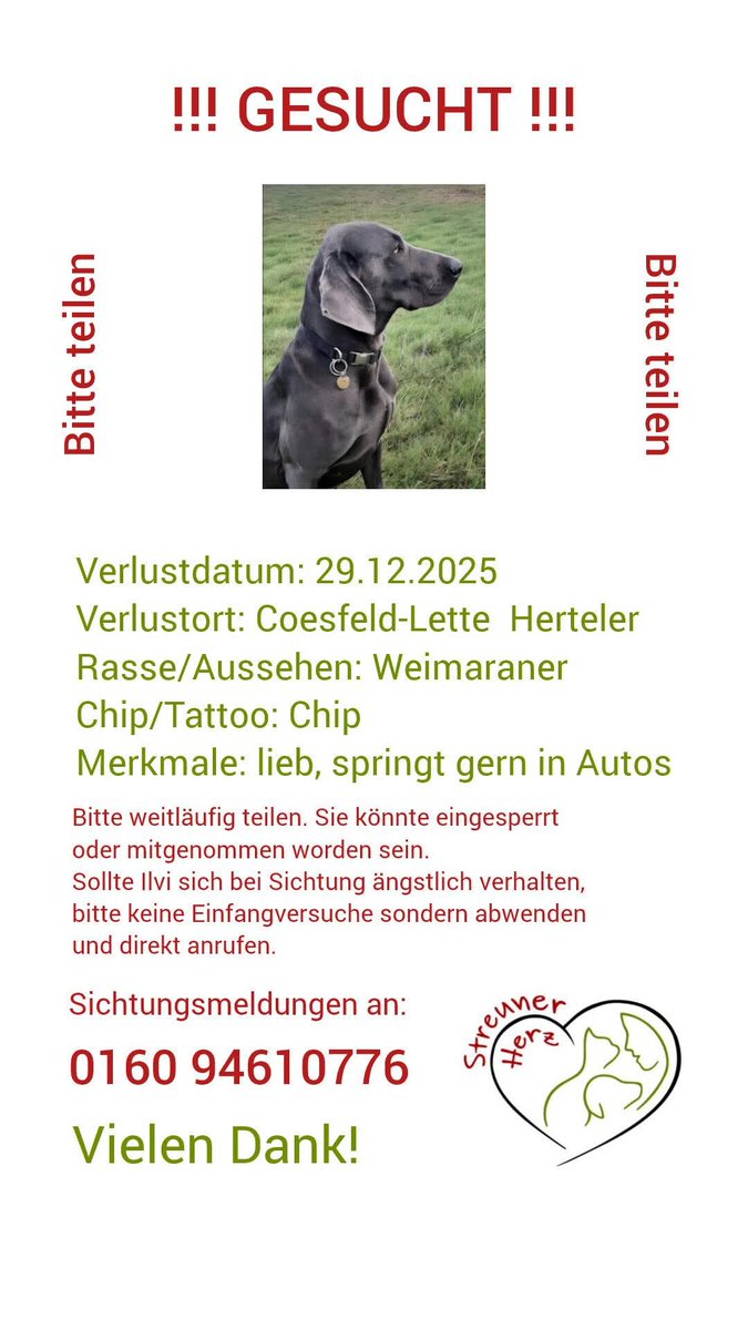 Weimaraner vermisst!
HUND vermisst
48653 Coesfeld-Lette
29.12.2025
⚠️ bei Sichtungen/ Fund umgehend Kontakt informieren 
Kontakt 
☎️ 0160 - 94610776