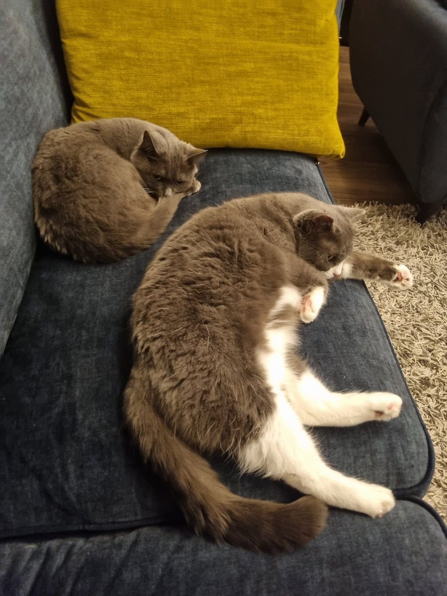 havraiseSG's tweet photo. Extinction des feux je crois #modenuit activé #viedechat https://t.co/taAvv2uUYc