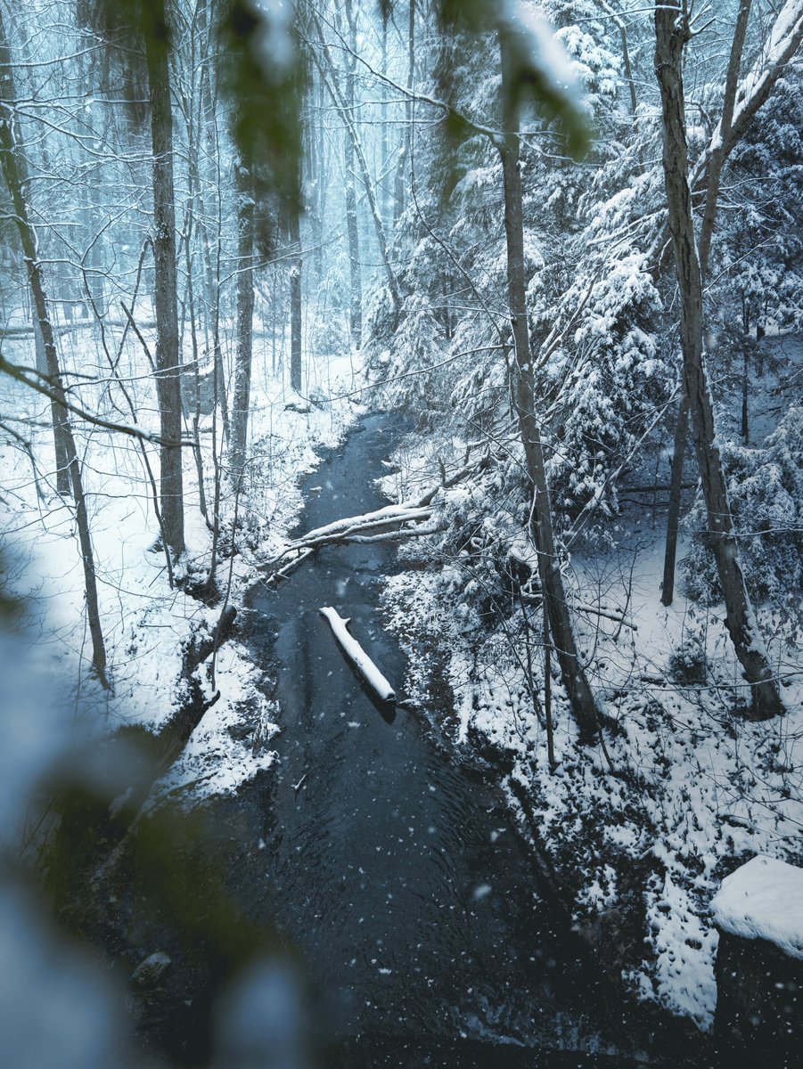 Finger Lakes Travel tweet media