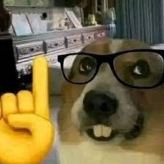 gothdevito's tweet image. got so many answers right watching last nights episode of only connect that my dad asked me if i’d already watched it