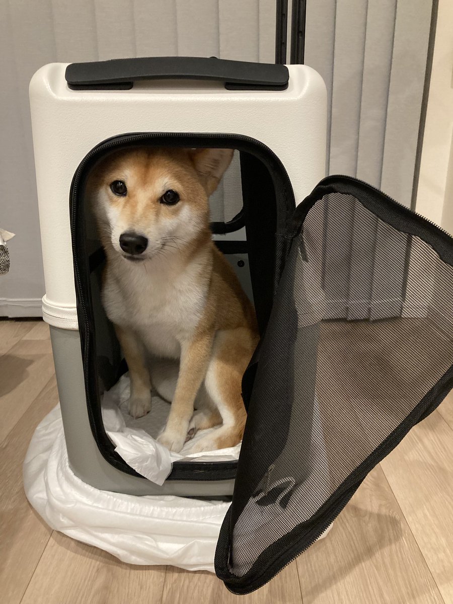 写庵@C107 2日目西さ-02ab (@63factory) / Posts / X