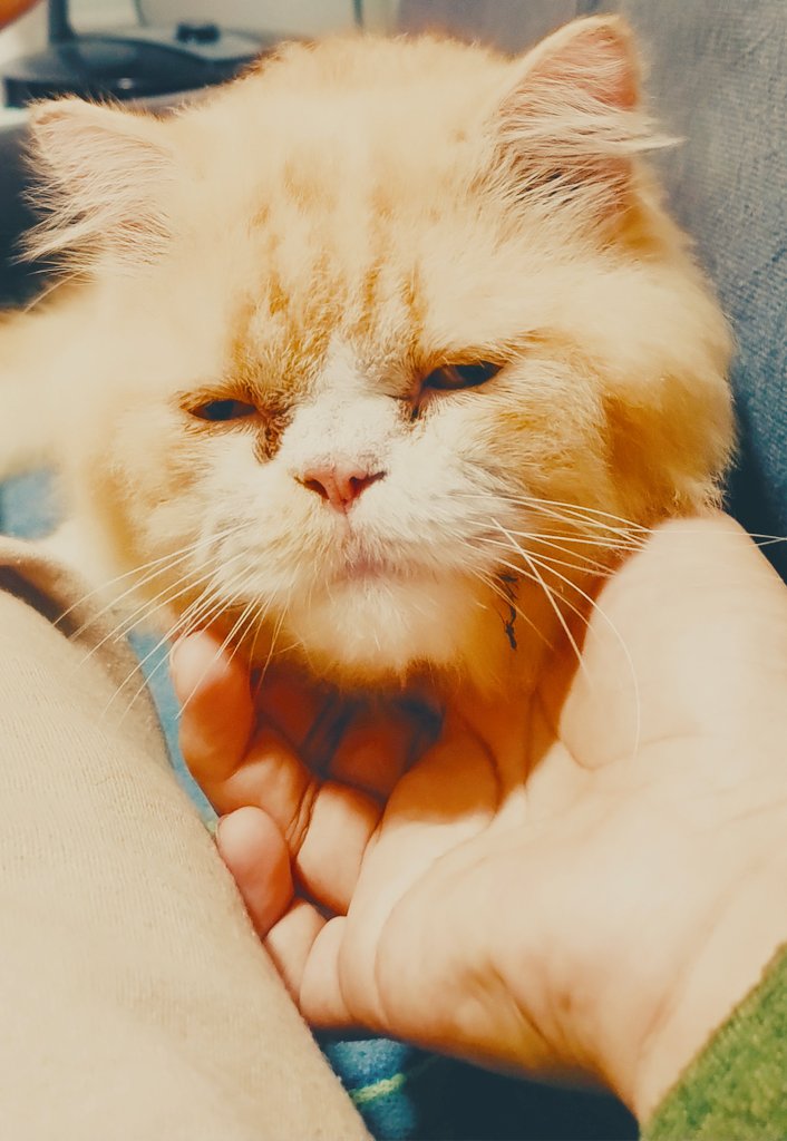 Guys, I promise to post more drawings, but I'm busy with commissions, work, and a house move I'm going to make.